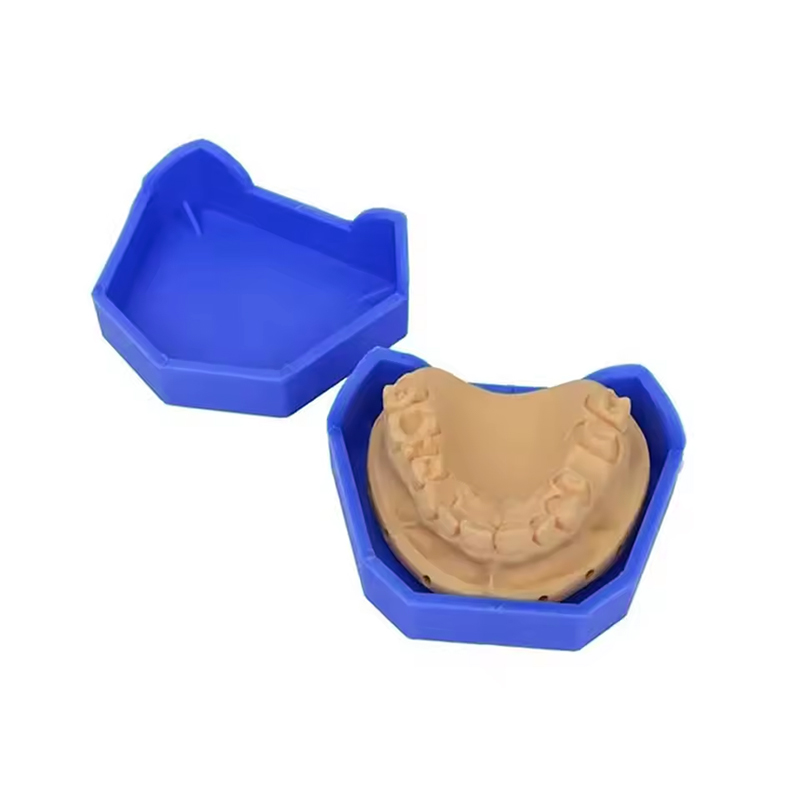 Base de modèle dentaire en plâ - Teeth Whitening Trays avis et prix