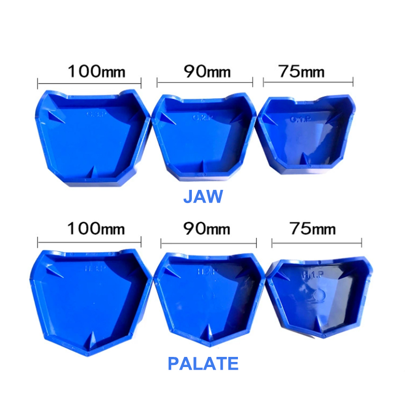 Ensemble de Base de modèle den - Teeth Whitening Trays avis et prix