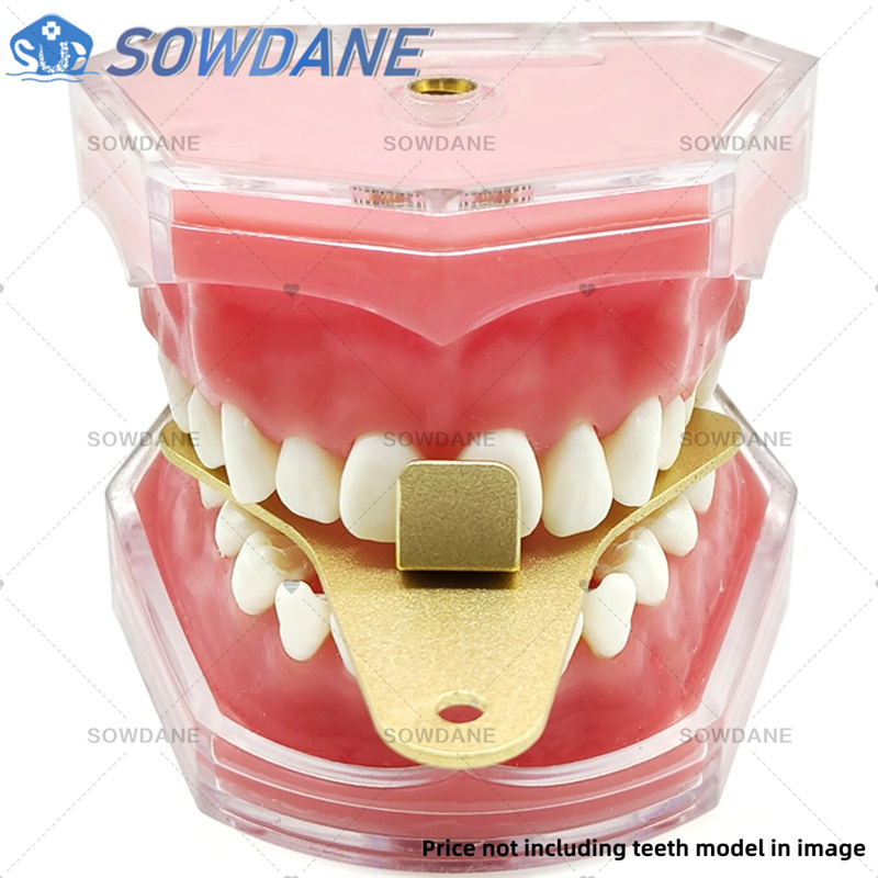 Plateaux d'impression de labor - Teeth Whitening Trays avis et prix