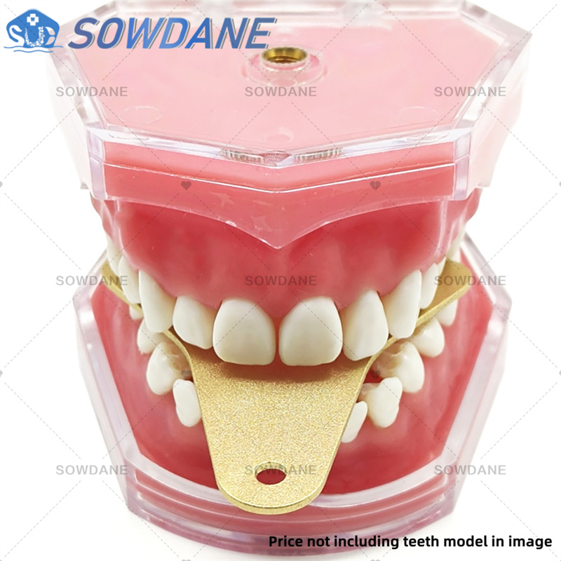 Plateaux d'impression de labor - Teeth Whitening Trays avis et prix
