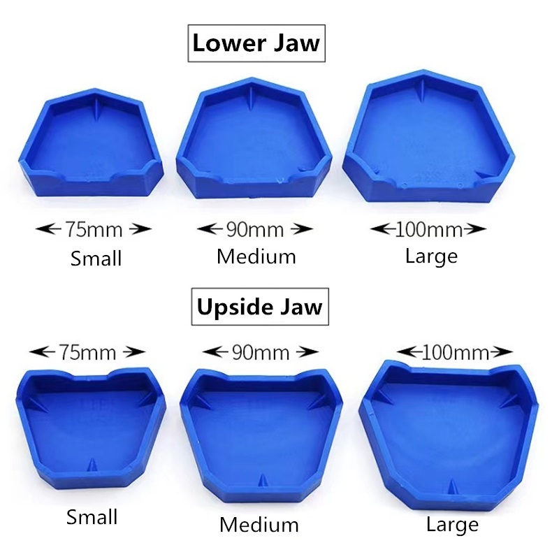 Base de modèle dentaire en cao - Teeth Whitening Trays avis et prix